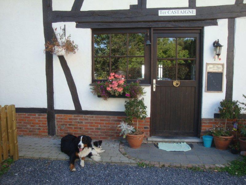 B&B Ter Castaigne Koekelare Esterno foto